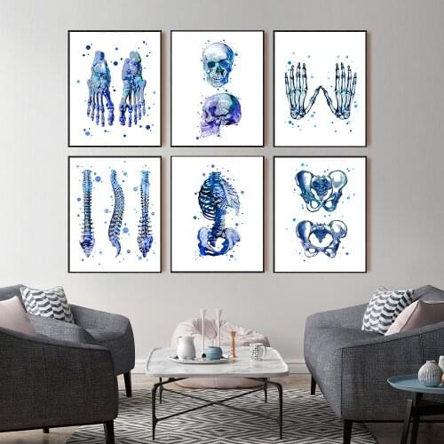 Human Anatomy Spine System Art Print Watercolor Human Figure Painting Medical Education Office Pictures Posters Canvas Painting