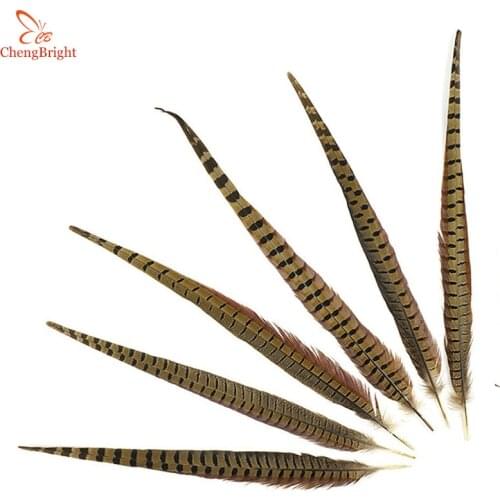 ChengBright Wholesale 50Pcs 12-28inch/30-70cm Natural Pheasant Tail Feathers Carnival Wedding Decoration Pheasant Feathers plume