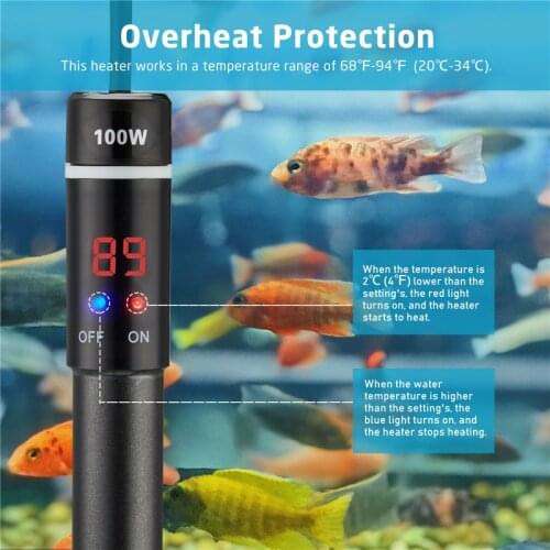 INKBIRD Titanium Aquarium Heater 100W/300W Submersible Fish Tank Adjustable Temperature Heating Rod with IC Chip Waterproof LCD