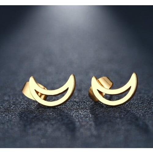 DOTIFI Stainless Steel Stud Earring For Women Man Moon Gold And Silver Color Lovers Engagement Jewelry Drop Shipping