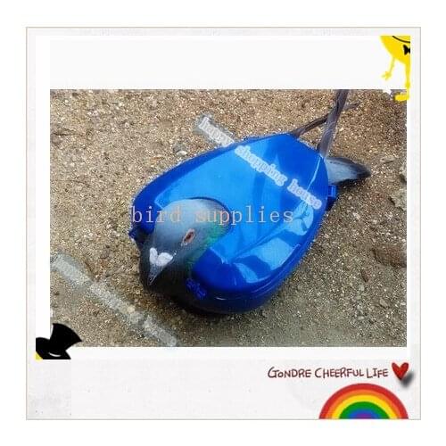 A02 Pet bird pigeon racing for dove products supplies with medicine injection see pigeon eye fixation