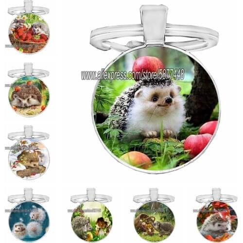 Cute Hedgehog Keychain Handmade Lovely Cartoon Photo Animal Women Glass Cabochon Key Rings Key Chains Gift for Girls