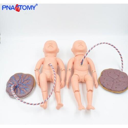 Life Size Newborn Model with Funicle and Placenta Baby Nursing Tool Educational Equipment Medical Teaching Human Anatomy