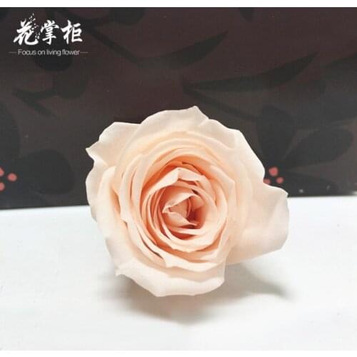 1pcs Eternal Flower Material Fresh Dried Flower Quality 3-4cm Rose DIY Eternal Flower Keychain Car Hanging Flower