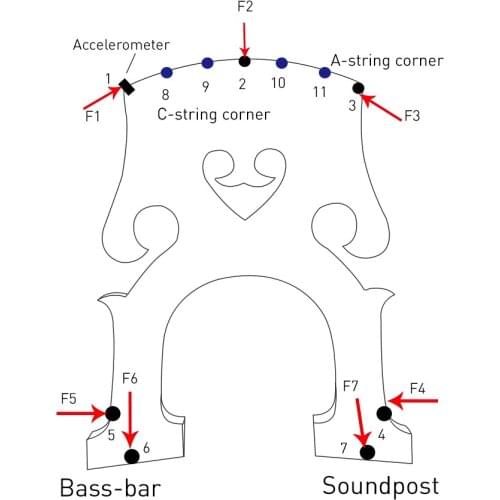 Germany 1/8 Size Electric Double Upright Bass Bridge Instrument Replacement Part