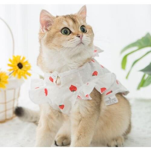 Lotus Leaf Lace Cat Dresses Bow Breathable Princess Cat Dress Cute Summer Cat Skirt Sweet Ropa Gato for Small Cat Dropshipping