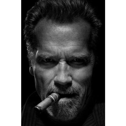 MT984 Arnold Schwarzenegger Cigar Smoking Movie Star Print Painting Art Poster Print Canvas Home Decor Picture Wall Print