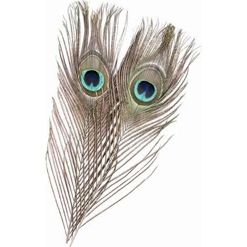 Decoration Peacock Feathers Multi-Colored100pcs Beautiful190823213