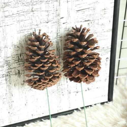 10Pcs Large Natural Pine Cone Dried Flower Aromatherapy Material Artificial Flowers Decoration Garden Home Christmas Pine Cone