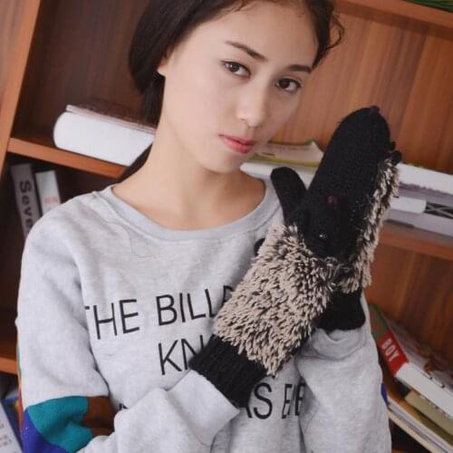 Cartoon Hedgehog Wool Double Layer Thermal Insulation With Finger Weave Gloves Full Finger Weave Gloves #T2