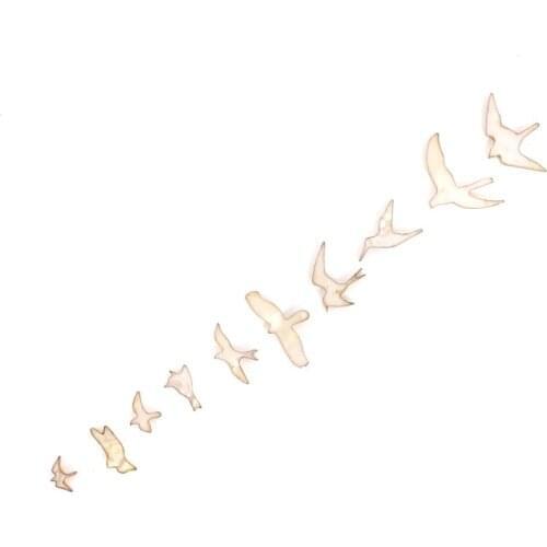 1set (10pcs) Guitar Fretboard Inlay Bird Inlay Guitar Fingerboard Accessories