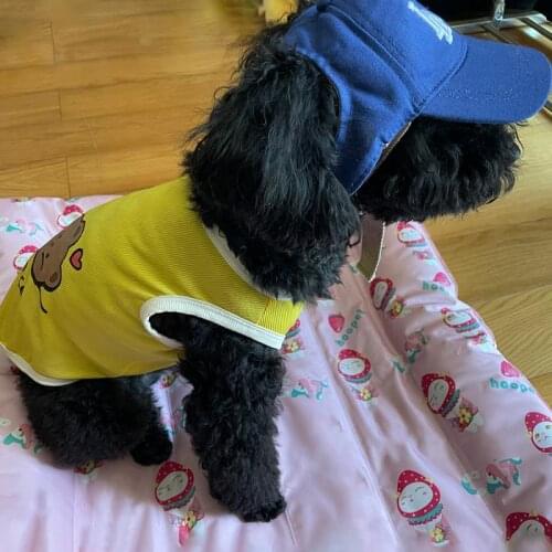 Cute Pet Fashion Solid Color Dog Hat Baseball Cap Windproof Travel Sports Sun Hats For Puppy Large Pet Dog Outdoor Accessories