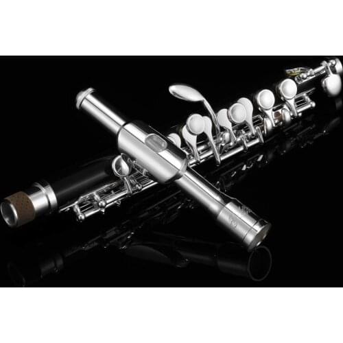 Aisiweier Piccolo C Key Cupronickel Half-size Flute Silver Plated Body Material ABS resin