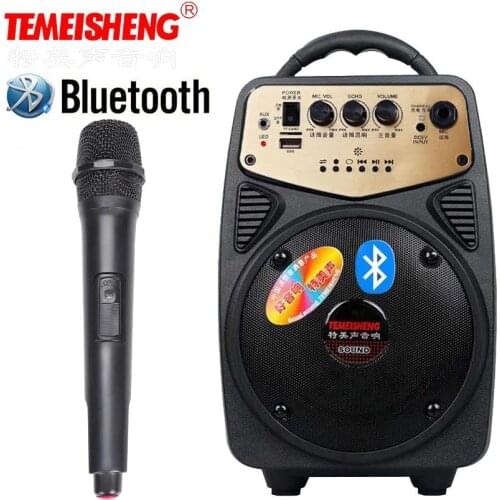Temeisheng Portable Audio Equipment