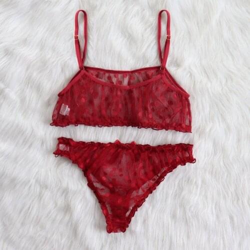 2 Pcs Lady´s See-through Sexy Lingerie Set Solid Color Polka Dot Sling Top Perspective Mesh Underpants Sex Toy