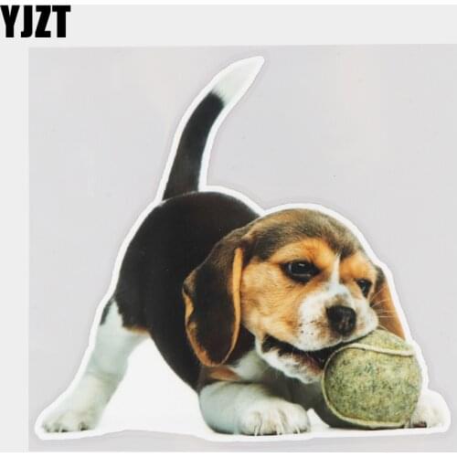 YJZT 17×16CM Beagle Playing Tennis Animal Vinyl Car Stickers Creative Auto Body Decoration Decals 21A-0030