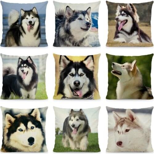 XUNYU Cushion Cover 45x45 Alaskan Malamute Pillow Case Home Decoration Dog Pattern Sofa Decor DWG044
