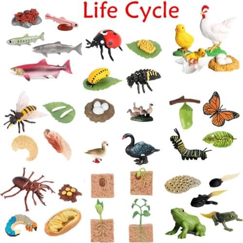 FancyTree Insect Figures