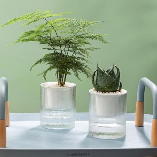 Self Watering Plastic Plant Pot with Rope Clear Water Container 2Layer Planter Round Basin for Flower Hydroponics Plant Dropship