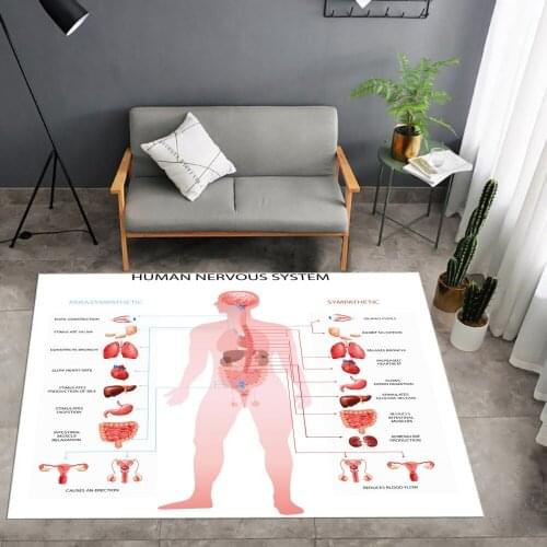 Human Anatomy Carpet Chart of Different Organ System Mats Cell Life Medical Illustration Area Rug 3D Print Play Crawl Floor Mat