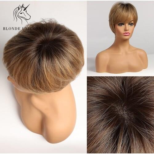 BLONDE UNICORN 8 Inch Synthetic Light Brown Short Straight Women Wig with Side Fringes Brown High Temperature Fiber Mother Wig