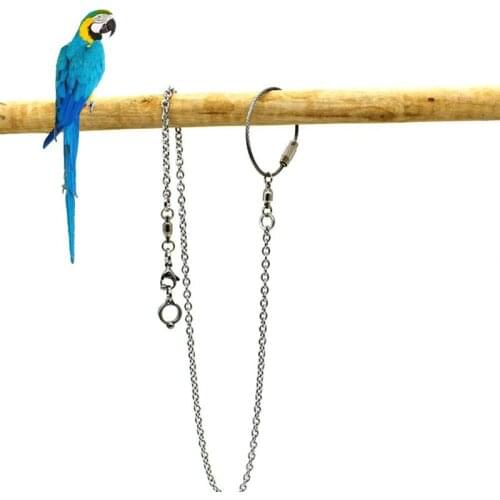 Creative Bird Parrot Foot Chain Stainless Steel Parakeet Ankle Foot Ring Stand Chain Outdoor Cockatiel Flying Training Supplies