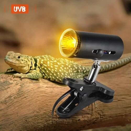 DADYPET Reptile Products