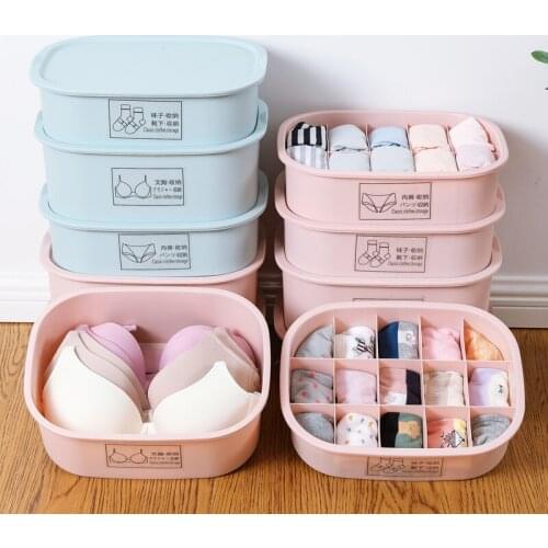 Large Capacity Clothes Storage Box Case Plastic Storage Box Drawer Type Underwear Bra Socks Tie Organizer Storage Organizer