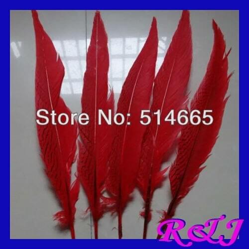 EMS Free Shipping 50pcs/lot silver pheasant Feather pheasant side tail feather 60-70cm 24-28 inches