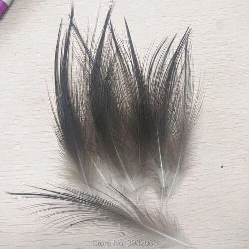 Wholesale high quality 10pcs rare black egret feather silk 10-20cm/4-8 inch collected decorative accessories
