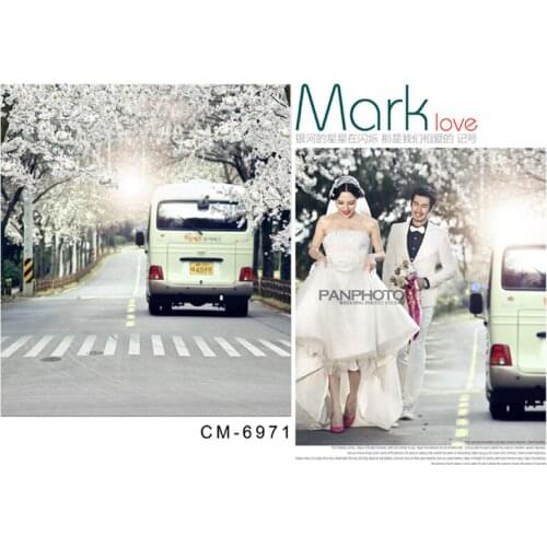 200*300cm(6.5*10ft) Valentines day Backdrops Wedding Photography background Outdoor Scenes Street scene Car Romantic for Studio