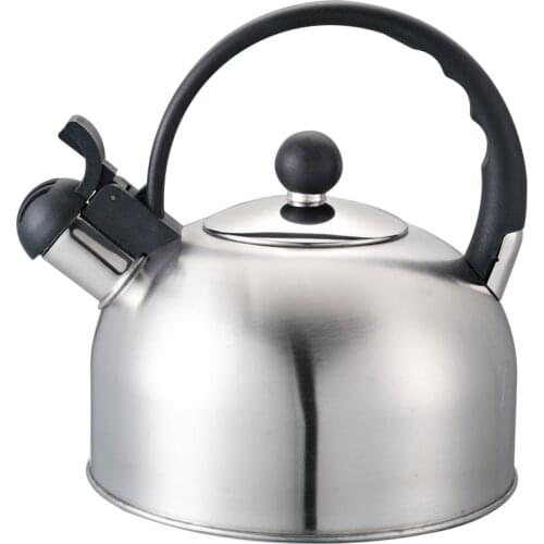 2020 New Water Kettle Fashion Durable Stainless Steel Whistle white Kettle With Handle
