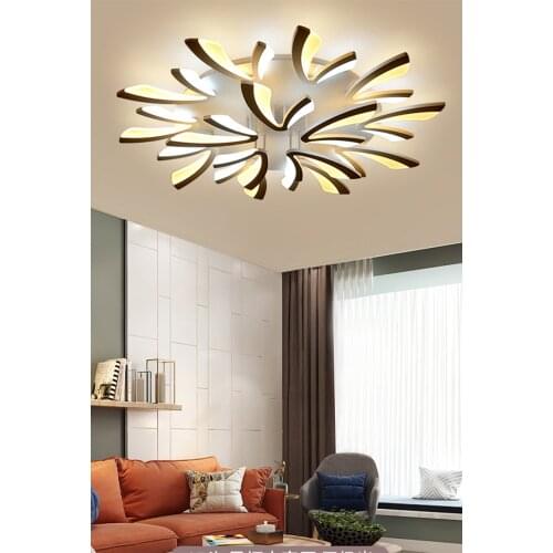 Led Ceiling Light Adjustable Brightness Nordic Home Living Room Simple White Modern Hall Stylish Atmosphere Bedroom Creative