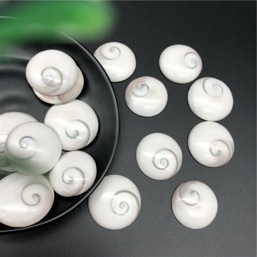 Drop Shipping 1PC Natural Round Shaped Fossil Sun Shell DIY Mineral Healing Stones Decor Crafts Natural Stones and Crystals