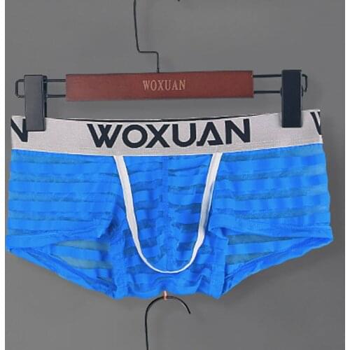 Sexy Men U Convex Pouch Shiny Breatherable Boxer Shorts Stripe Sheer See Through Boxers Underwear Gay Wear Plus Size F12