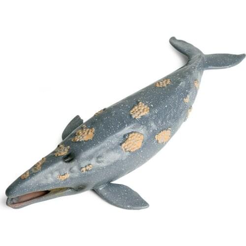 Humpback Animal Figure Collectible Toys Sea Animal Cognition Action Figures Kids Plastic Cement Toys