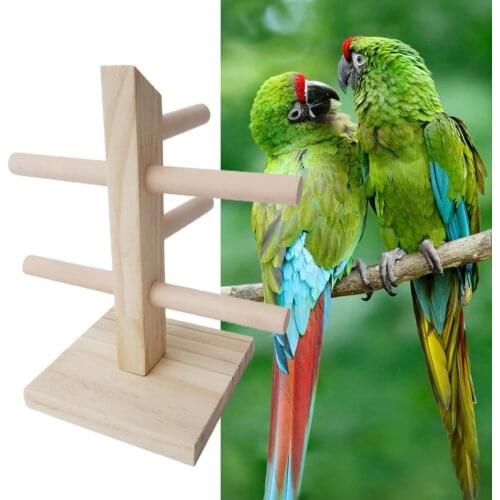 BPA-free Practical Small Cockatiels Conures Parakeets Training Stand Eco-friendly Parrot Exercise Toy Portable for Pets