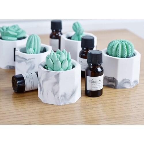 1pcs No Fire Aromatherapy Gypsum Aromatherapy Succulent Plants Aromatherapy Cactus Car Decoration Nordic Style Household Crafts