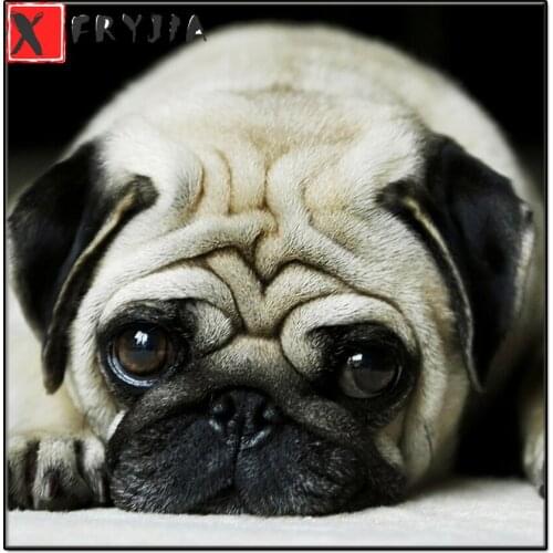5d Full Square Round Diamond DIY Diamond Painting Lovely Pug Dog Diamond Embroidery Cross Stitch Rhinestone Mosaic Home Decor