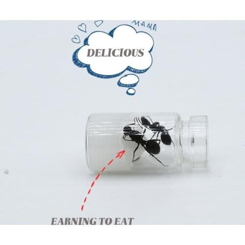 Nutritional Protein Ant Food Ant Workshop Ant Castle After Breeding Japanese Arched Ant Feed Pet Ant Food Pet Terrarium Supplies