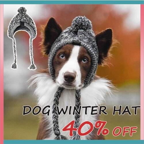 Hat for Dogs Winter Warm Chihuahua Windproof Dog Birthday Wool Knitting Dog Accessories for Small Dogs Costume Puppy Accessories