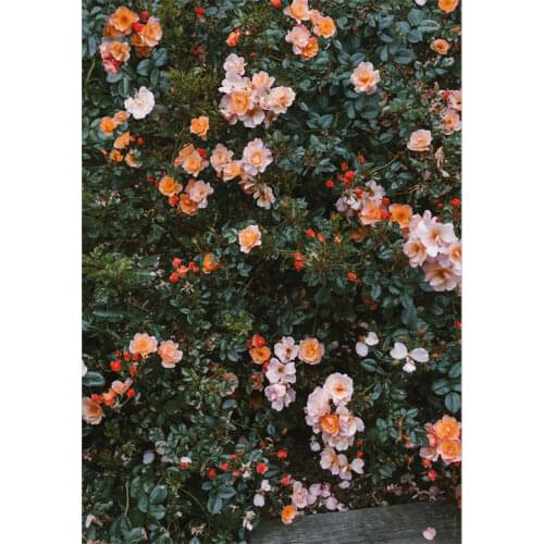 Nordic Flower Home Mural Wall Art Canvas Painting Living Room Bedroom Porch Modern Style Classic Decoration Painting Poster