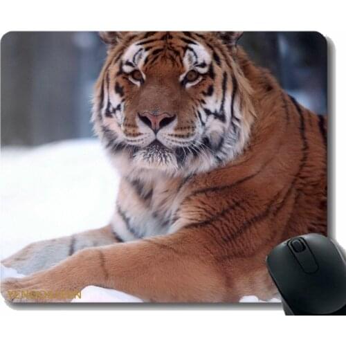 Mouse Pad Personalized,Tiger Predator Snow Down Big Cat 64826 Gaming Mouse Mat