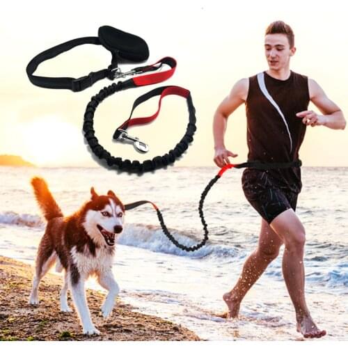 Dog running rope Waist belt jogging pet Elastic leash golden retriever chain medium large dog supplies Reflective sethands Free