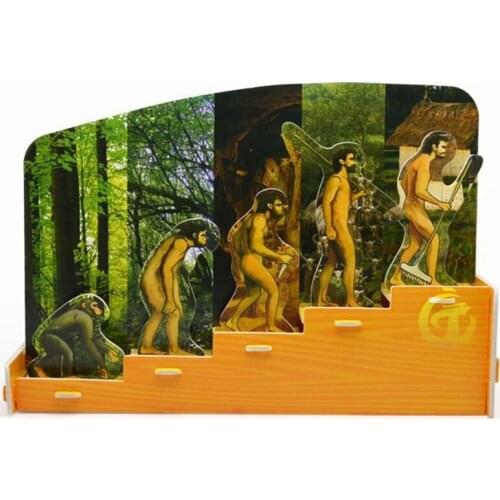 Simulation Human Evolution Of Man Primitive Human Model Figures Toy Collection Teaching Materials Science Educational Toys