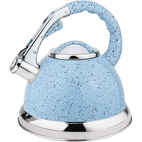Kitchen Stainless Steel Coffee Teapot Induction Whistle Tea Kettle Stove Tops 3.5L