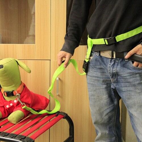 Pet Dog Leash Traction Rope Running Belt Reflective Elastic Hands Freely Jogging