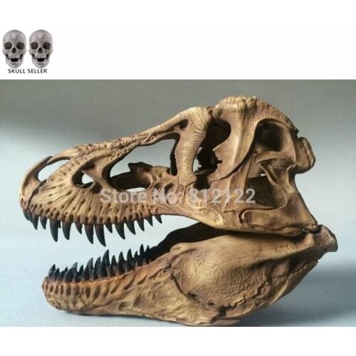 P-Flame Newest Tyrannosaurus Rex dinosaur Resin Fossil skull Model Collectibles 16.7*11.7*12.3cm light color