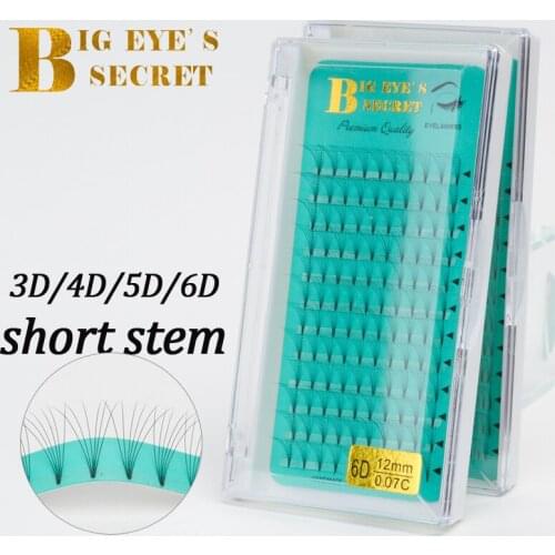 Big eyes secret Premade Volume Fans Lashes False Lashes Faux Mink Lashes Makeup 0.07mm C/D Curl Eyelash Extensions