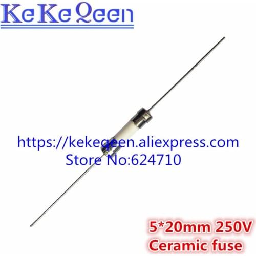 10PCS/LOT Ceramic Fuse 5*20mm 5*20 T 2.5A 3.15A 4A 5A 6.3A 8A 10A 15A 25A 20A 30A 250V With 2 Pin Fuse Slow Blow Fuse 5X20MM